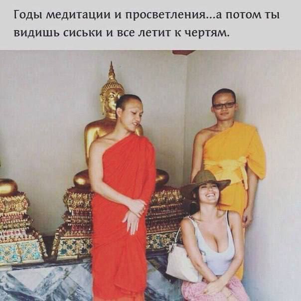 Годы медитации и просветления...а потом ты видишь сиськи и все летит к чертям. 23 $23