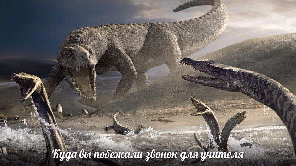 5 A Туда вы подежали здонок для учителя
