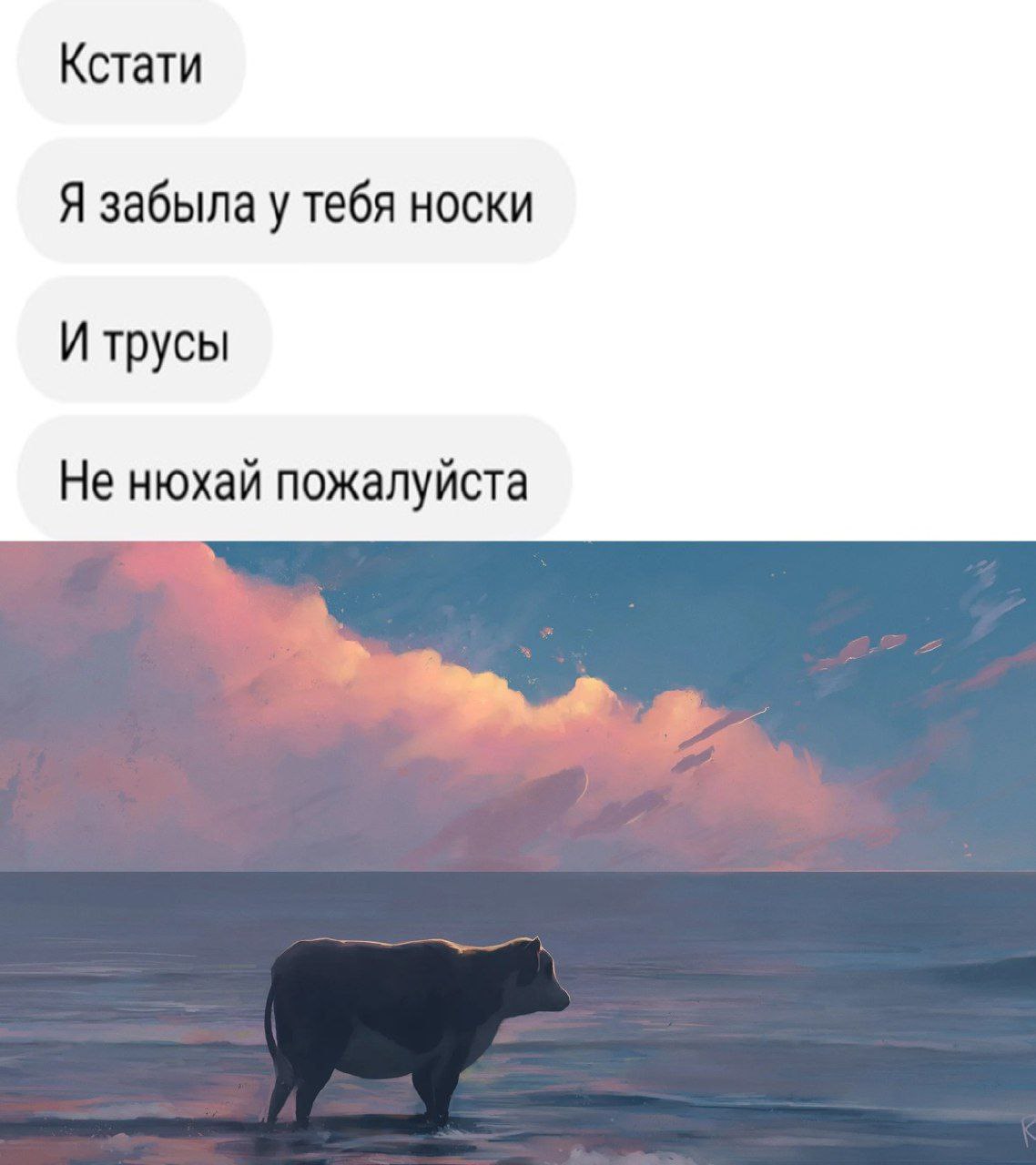 Кстати Я забыла у тебя носки И трусы Не нюхай пожалуйста