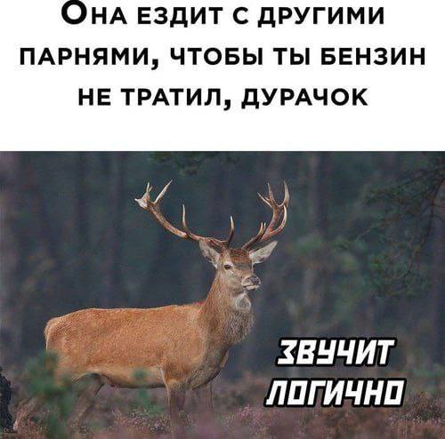 ЭНА ЕЗДИТ С ДРУГИМИ ПАРНЯМИ, ЧТОБЫ ТЫ БЕНЗИН НЕ ТРАТИЛ, ДУРАЧОК ЗВУЧИТ ЛОГИЧНО