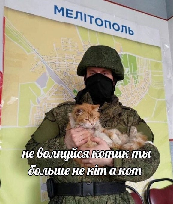 7 не копии Mot больше не Kim а кот