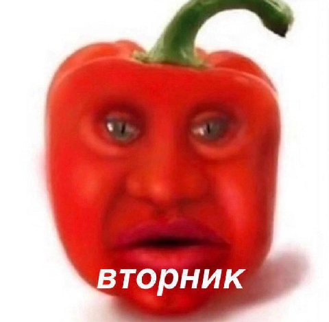 вторник
