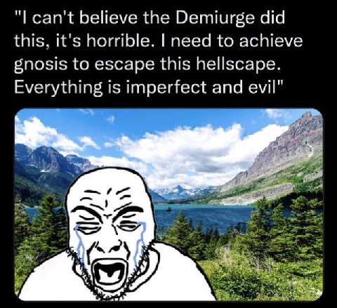 can't believe the Demiurge did this, it's horrible. need to achieve gnosis to escape this hellscape. Everything is imperfect and evil"