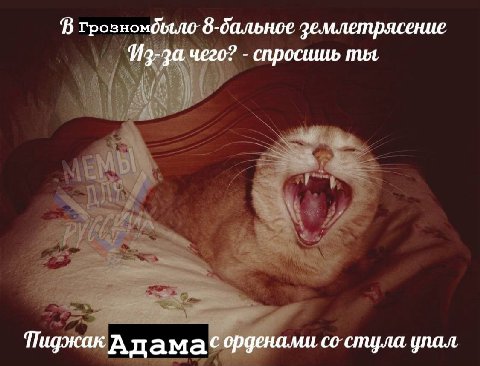 В грозномдыло: землетрясение Из-за чего? спросшиь ты Пиджак А дамасорденами стула упал