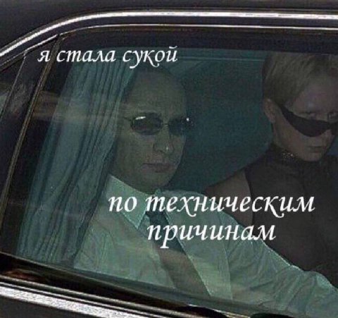 стала сукой по техническим причинам