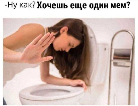 -Ну как? Хочешь еще один мем?