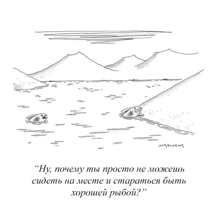 “Ну, почему ты просто не можешь сидеть на месте и стараться быть хорошей рыбой?”