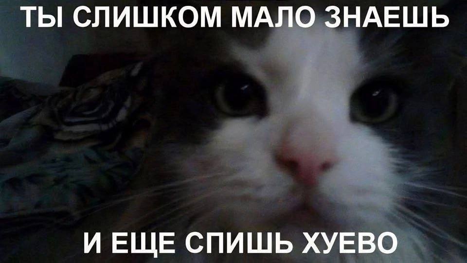 ТЫ СЛИШКОМ МАЛО ЗНАЕШЬ И ЕЩЕ СПИШЬ ХУЕВО