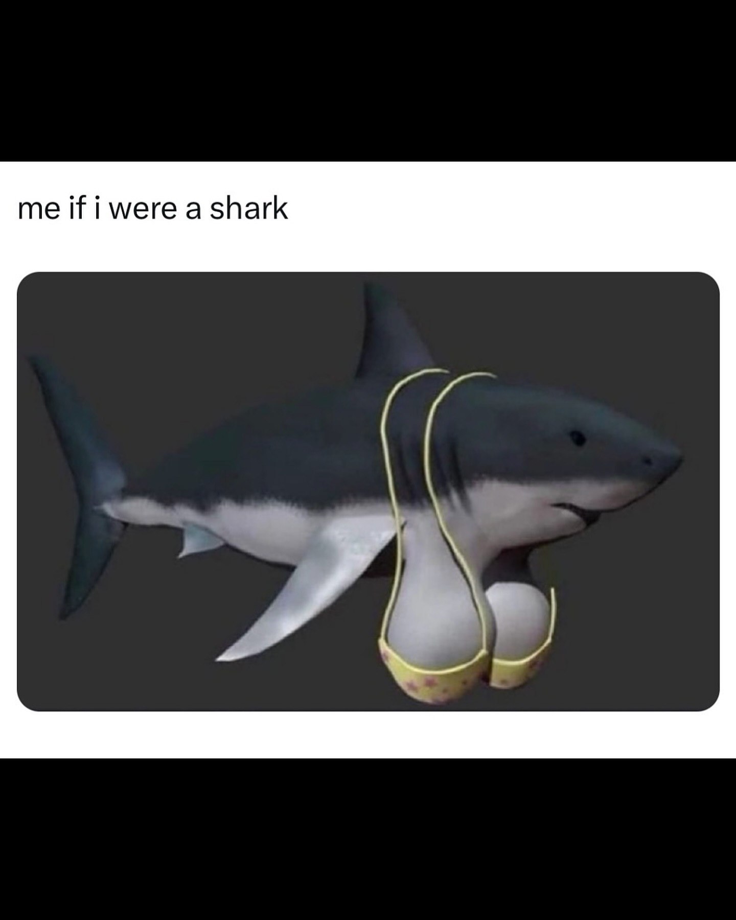 me if i were a shark