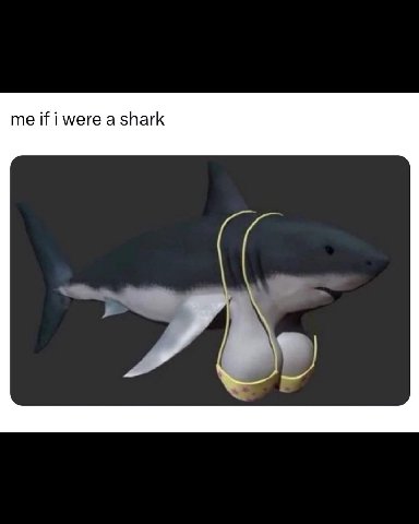 me if i were a shark