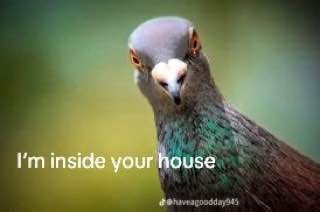 inside your house