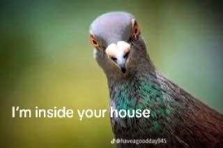 inside your house
