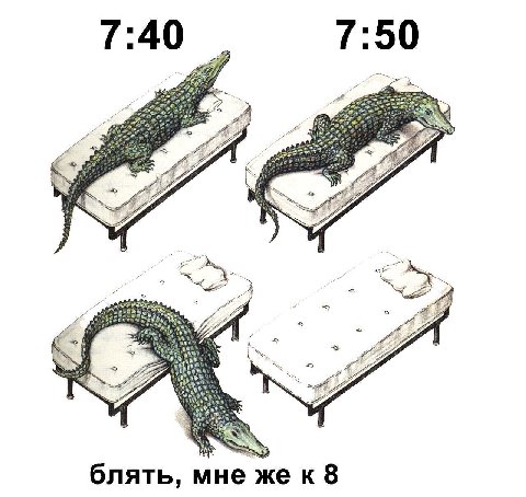 40 50 Lig A 29% 275 we я 5 с She блять, мне же к 8