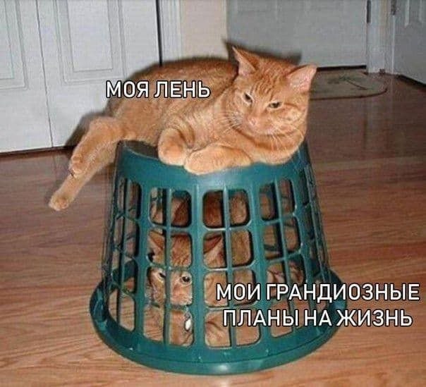 МОИ ГРАНДИОЗНЫЕ ПЛАНЫ НА ЖИЗНЬ