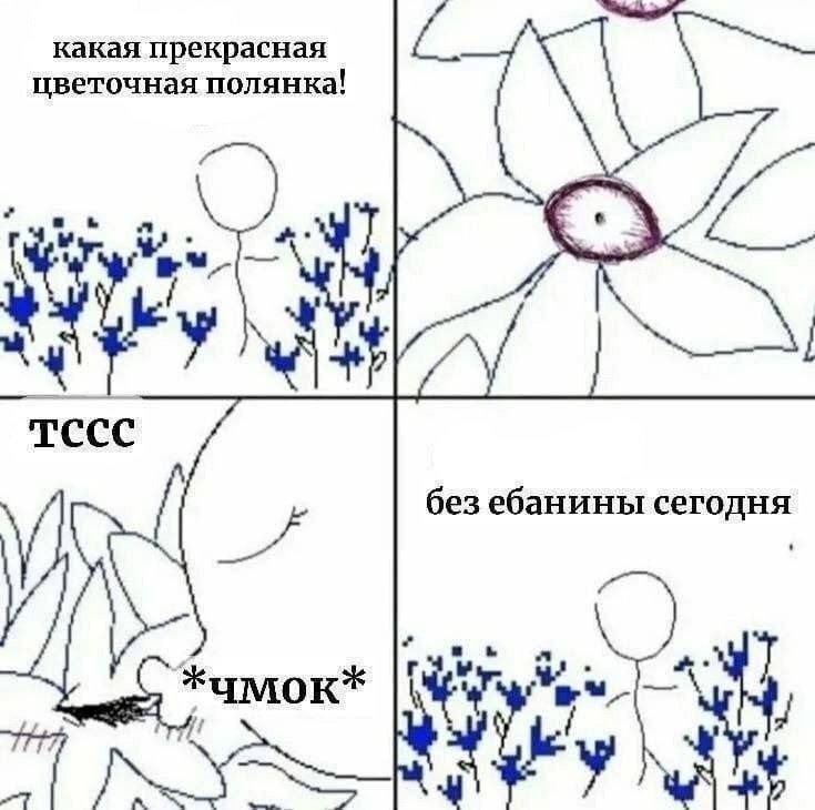 без ебанины сег одня