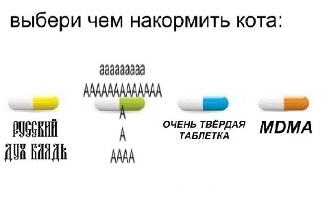 ГОЛОСУЕМ ДО 300