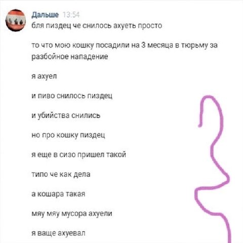 Дальше с бля пиздец че снилось ахуеть просто то что мою кошку посадили на 3 месяца в тюрьму за разбойное нападение я ахуел и пиво снилось пиздец и убийства снились но про кошку пиздец яеще в сизо приш