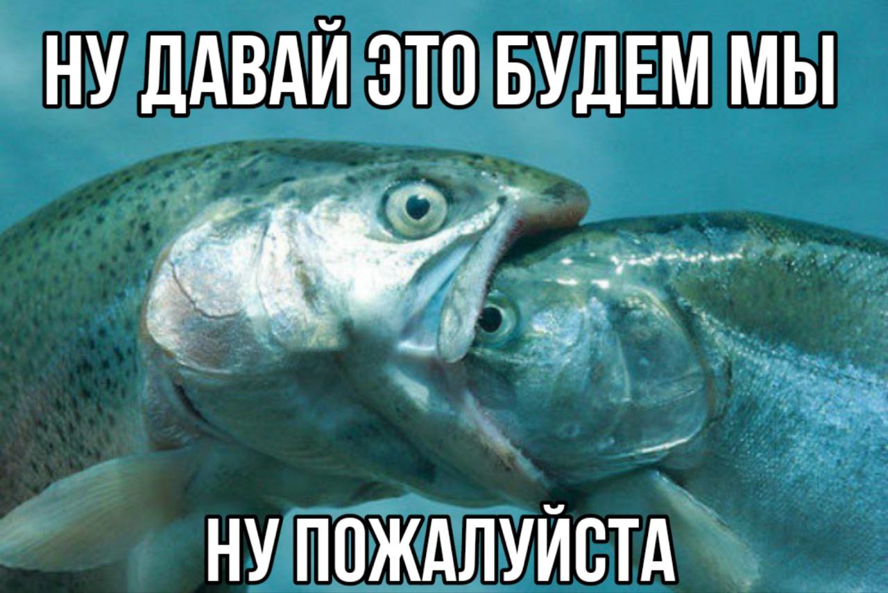 НУ ДАВАЙ ЭТО БУДЕМ МЫ НУ ПОЖАЛУЙСТА