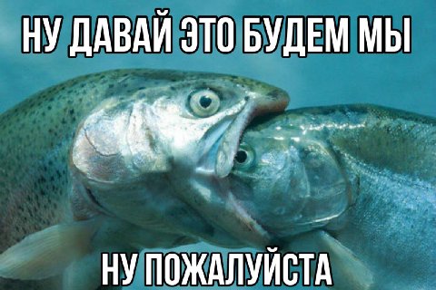 НУ ДАВАЙ ЭТО БУДЕМ МЫ НУ ПОЖАЛУЙСТА