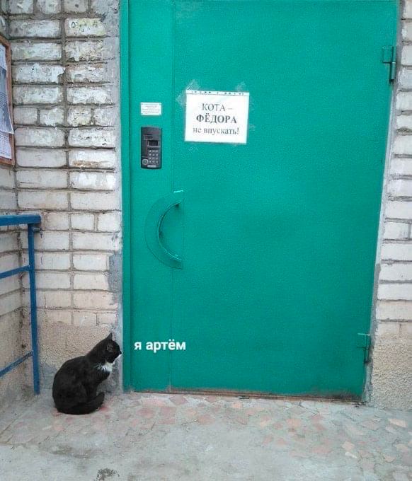 ФЕДОРА не я артём