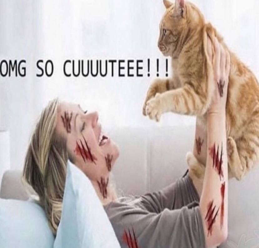 OMG SO CUUUUTEEE! у у