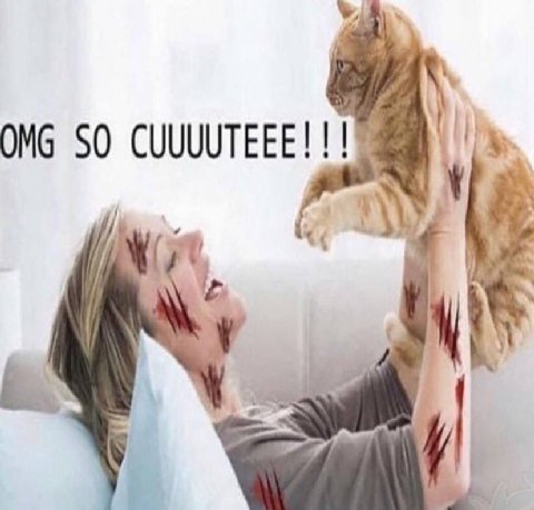 OMG SO CUUUUTEEE! у у