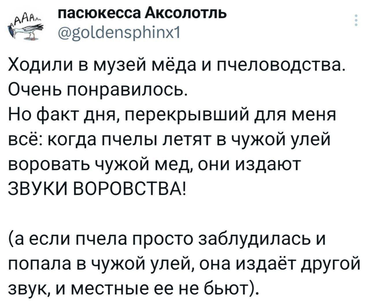 *издал звук воровства когда подрезал картиночку*