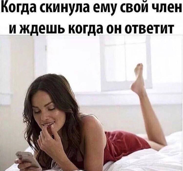 Когда скинула ему свои член и ждешь когда он ответит