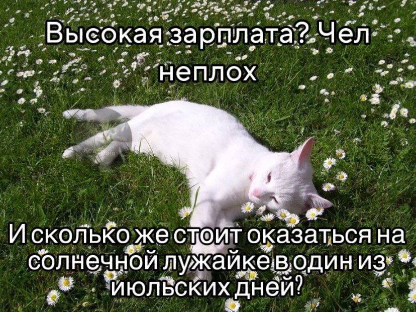 a 3 4 И скол ько же стоит оказаться на солнечной лужайкеводин из- ‘июлБских дней!