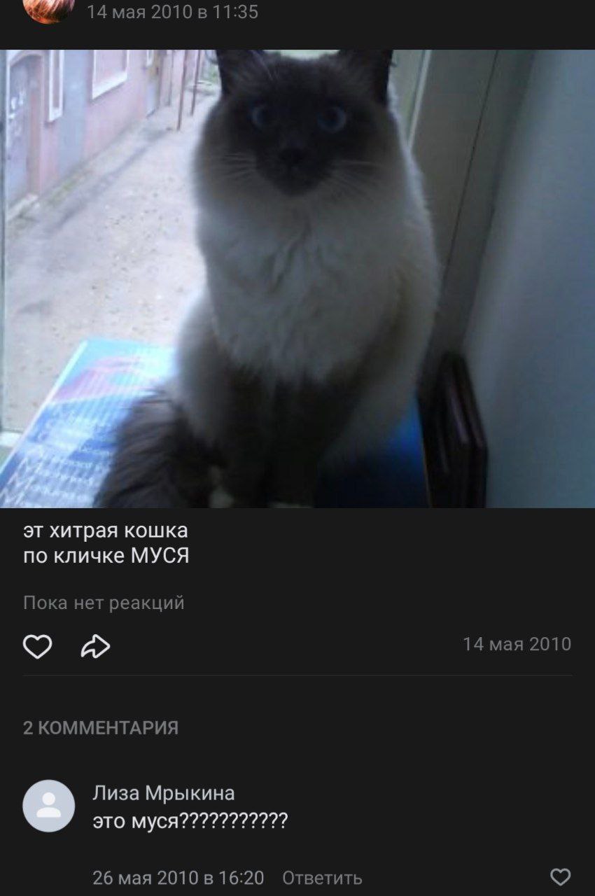 14 мая 11:35 хитрая кошка по кличке МУСЯ Пока нет реакций 14 мая 2010 2 КОММЕНТАРИЯ Лиза Мрыкина 2 это муся??????????? 26 мая 2010 в 16:20 Ответить