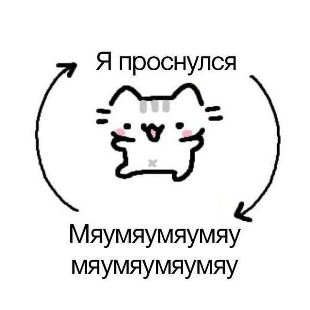 Я проснулся Мяумяумяумяу мяумяумяумяу