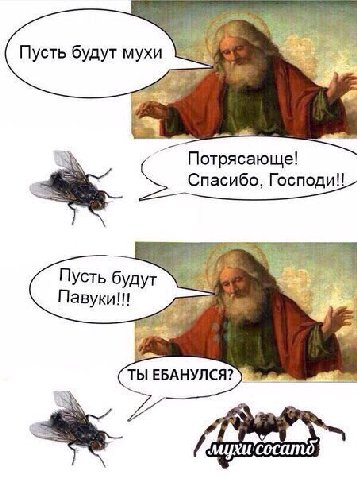 Пусть будут мухи Потрясающе! Спасибо, Господи! Пусть будут 4 ТЫ ЕБАНУЛСЯ?
