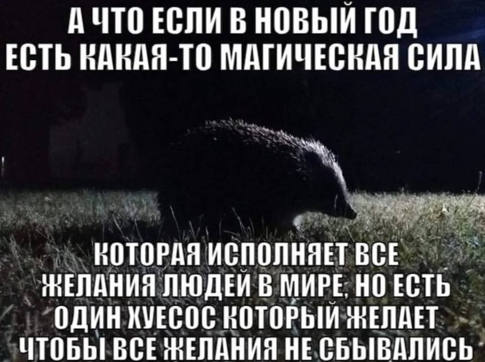 АЧТО ЕСЛИ В НОВЫЙ ГОД ЕСТЬ ВАНАЯ-ТО МАГИЧЕСКАЯ СИЛА НОТОРАЯ ИСПОЛНЯЕТ НЕЛАНИЯ ЛЮДЕЙ В МИРЕ. НО ЕСТЬ ОДИН KVECOC КОТОРЫЙ ЖЕЛАЕТ ЧТОБЫ ВСЕ НЕСБЫВАЛИСЬ