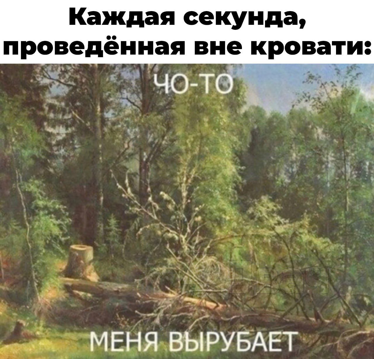Каждая секунда, проведённая вне кровати: МЕНЯ ВЫРУБАЕТ