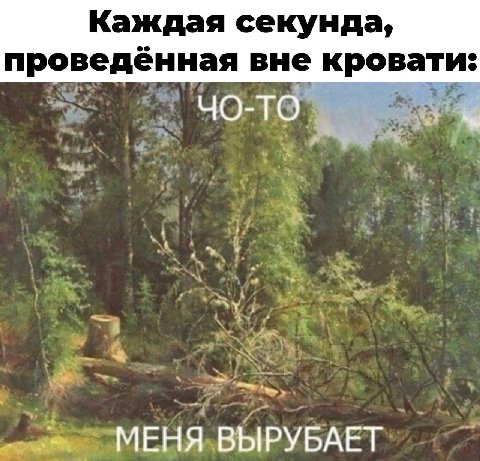 Каждая секунда, проведённая вне кровати: МЕНЯ ВЫРУБАЕТ