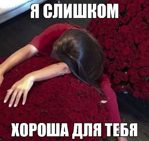 СЛИШКОМ КОРОША ДЛЯ ТЕБЯ