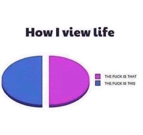 How I view life THE FUCK IS THAT THE FUCK IS THIS
