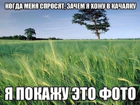 КОГДА МЕНЯ СПРОСЯТ, ЗАЧЕМ Я ХОЖУ В КАЧАЛНУ he ЭТО ФОТО у i