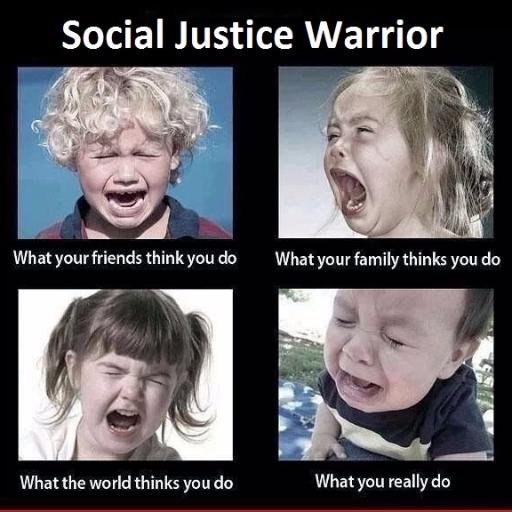 Social Justice Warrior What your friends think you What your family thinks you 4 у What the world thinks you What you really