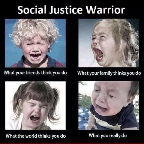 Social Justice Warrior What your friends think you What your family thinks you 4 у What the world thinks you What you really