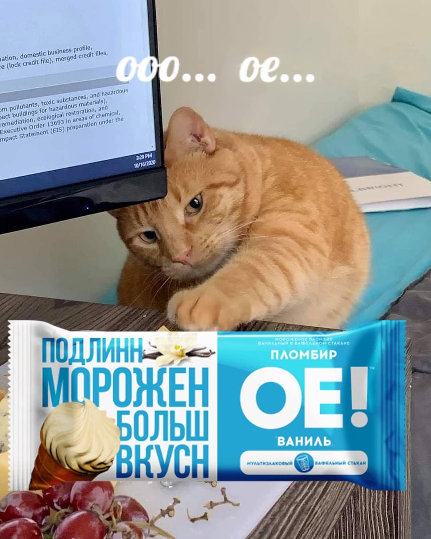 mestic profi files, (toc! credit file), zardou and haz ance 5), of a under he executive OF pre mpact С 10/16/2020 43 4 МПРОЖЕН ВАНИЛЬ. ъти И i] у