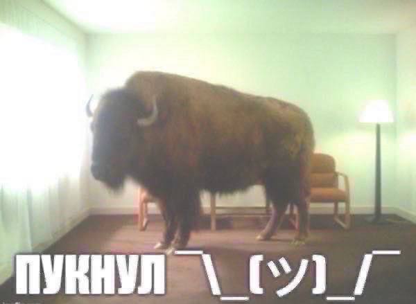 и.