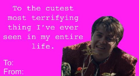 То the cutest most terrifying thing I’ve ever seen in my entire life. То: From: