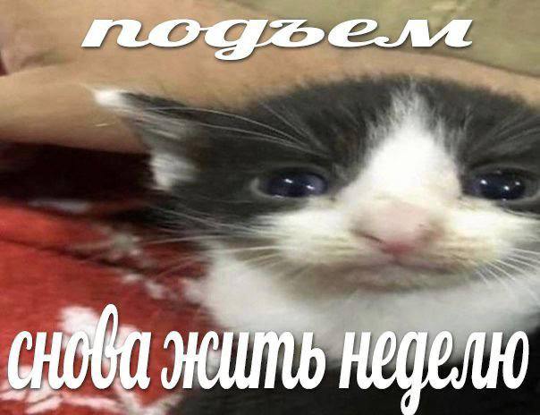 У 4
