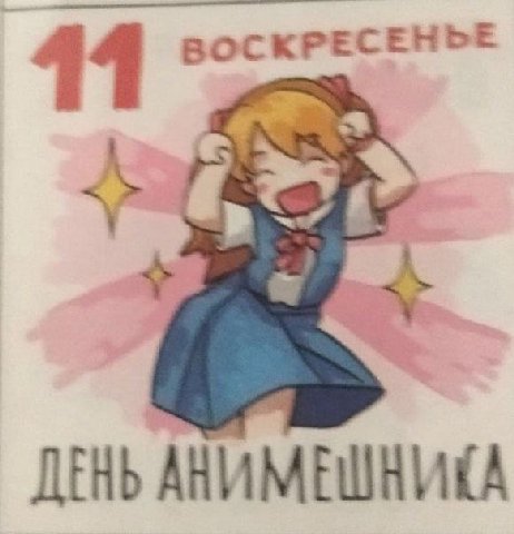 ВОСКРЕСЕНЬЕ 11 ДЕНЬ ААИМЕШНИКА