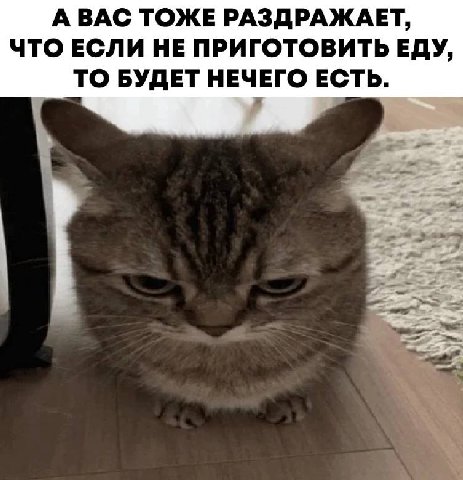 АВАС ТОЖЕ РАЗДРАЖАЕТ, ЧТО ЕСЛИ НЕ ПРИГОТОВИТЬ ЕДУ, ТО БУДЕТ НЕЧЕГО ЕСТЬ.