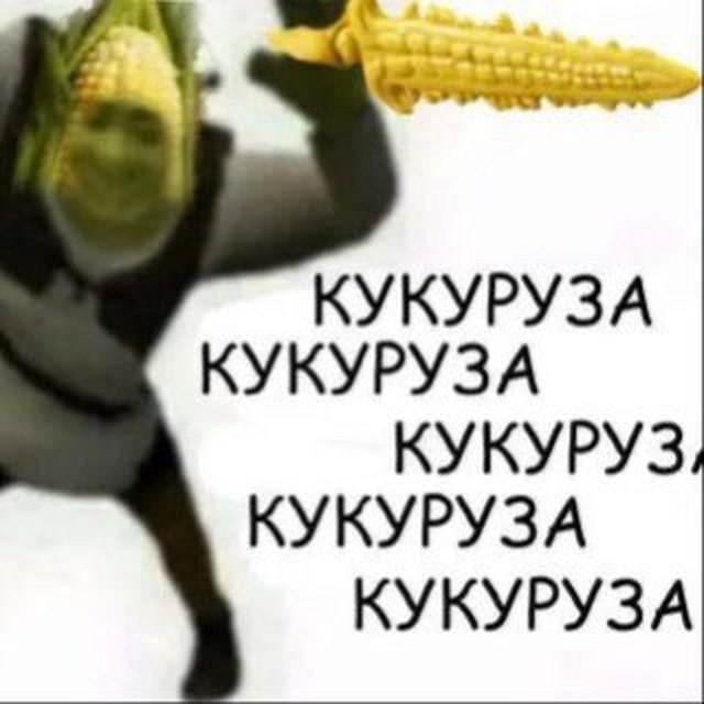 КУКУРУЗА КУКУРУЗА КУКУРУЗ КУКУРУЗА КУКУРУЗА