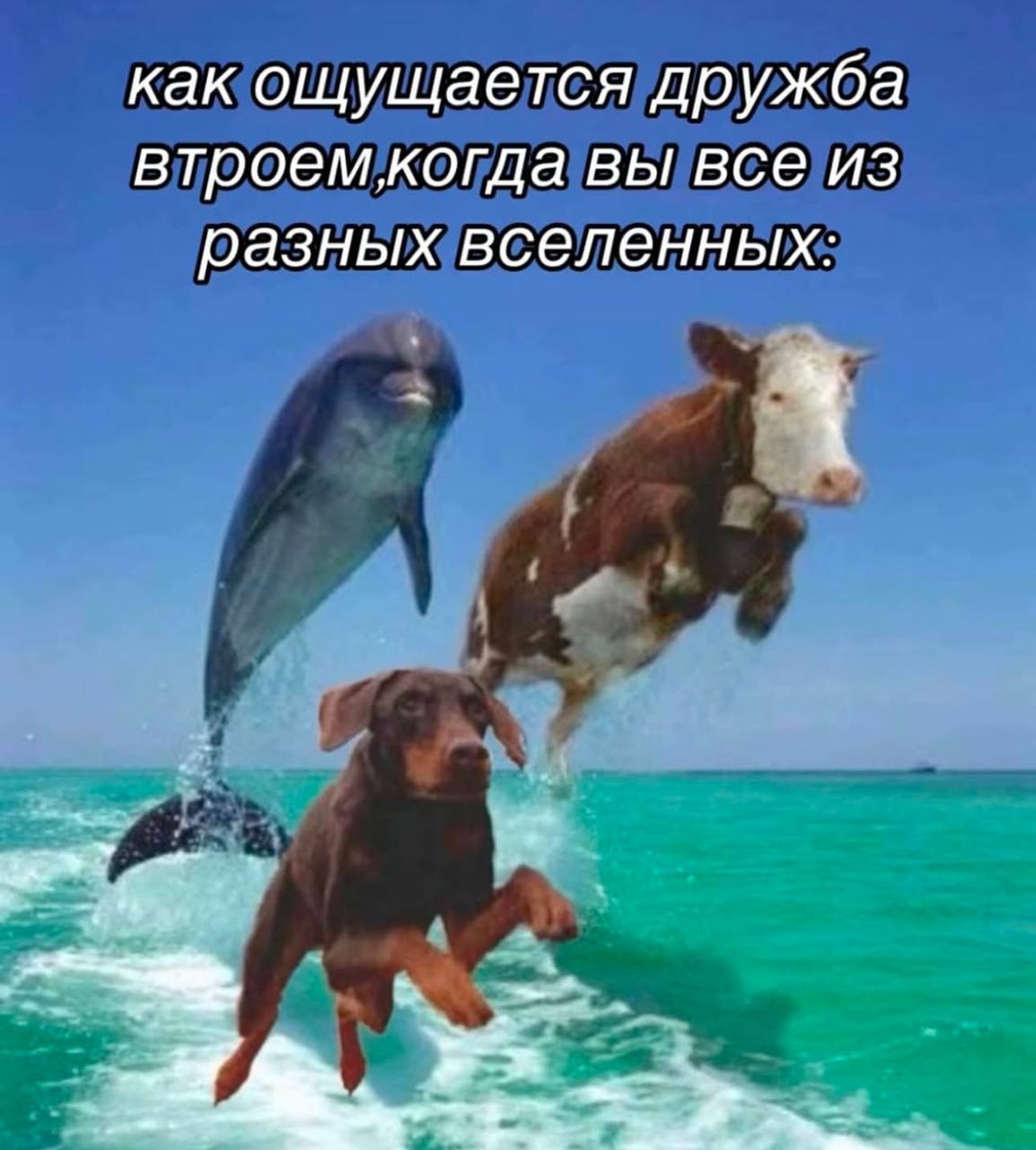 как ощущается дружба втроемкогда вы все из разных вселенных:
