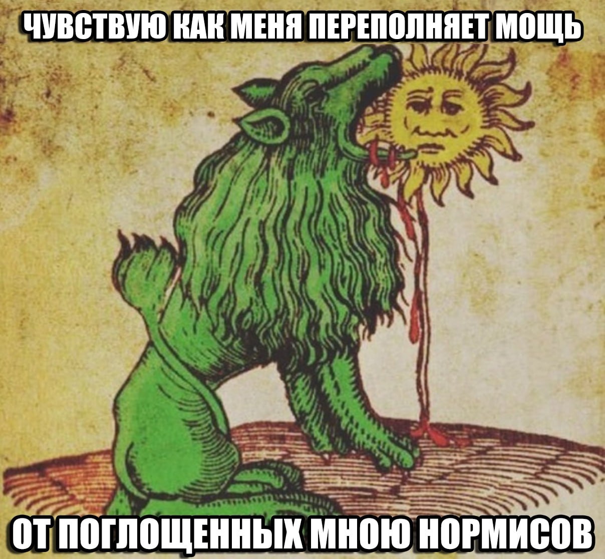 ЧУВСТВУЮ КАК МЕНЯ ПЕРЕПОЛНЯЕТ МОЩЬ ОТПОГЛОЩЕННЫХ МНОЮ НОРМИСОВ