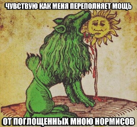 ЧУВСТВУЮ КАК МЕНЯ ПЕРЕПОЛНЯЕТ МОЩЬ ОТПОГЛОЩЕННЫХ МНОЮ НОРМИСОВ